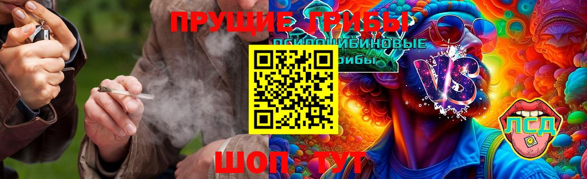 Псилоцибиновые грибы Psilocybe Нижнекамск