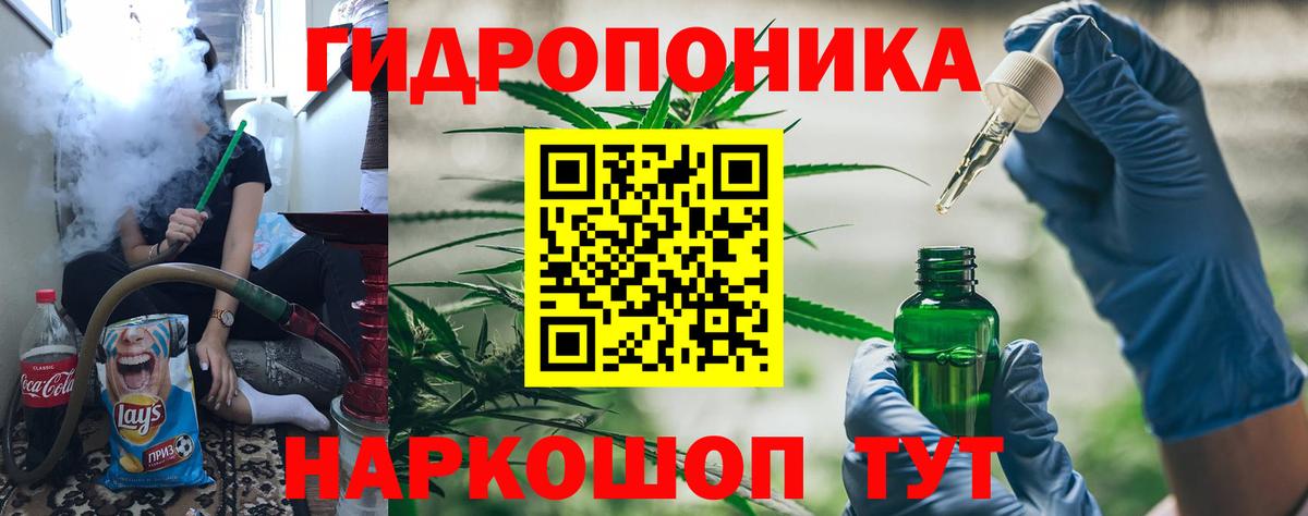 Конопля индика  Вход с VPN  Нижнекамск  Бошки марихуана OG Kush  МАРИХУАНА Bruce Banner  Канабис марихуана 